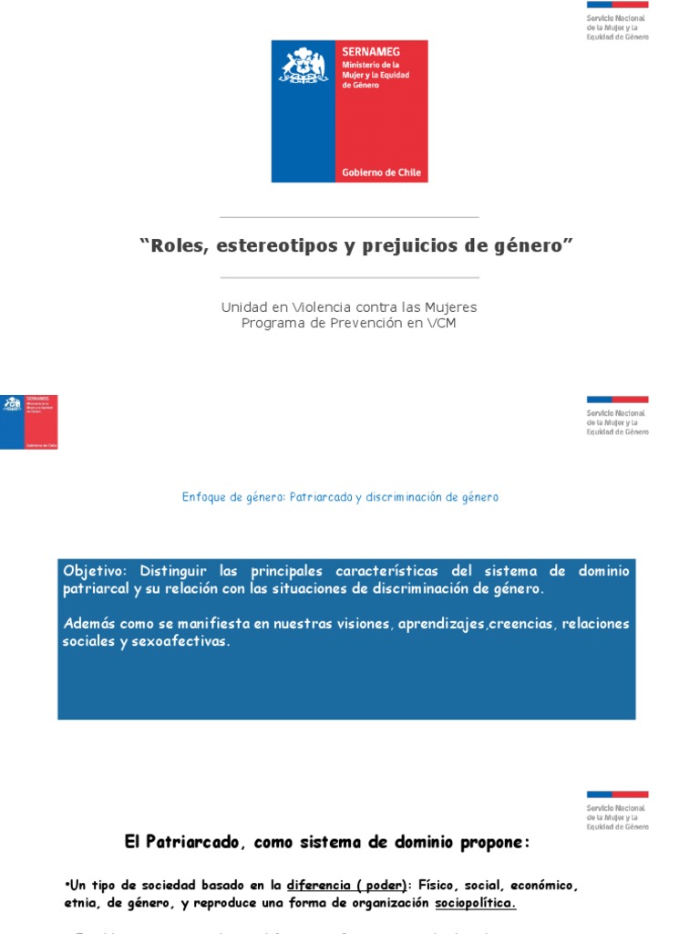 Estereotipos y Roles de Género | PDF | Ciencias sociales | Salud y ...