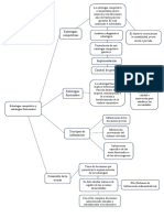 Mapa Conceptual