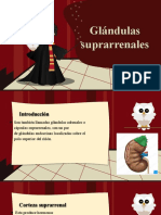 Glándulas Suprarrenales