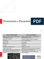 Aula Procarioto Versus Eucarioto