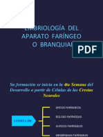 Arcos+faríngeos-+cabeza+y+cuello. 2020