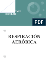 Respiración Celular