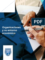 Organizaciones y su entorno económico