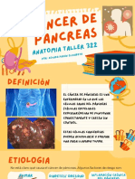 Cáncer de Pancreas