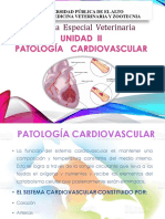 Patología Cardiovascular-1