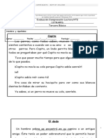 2023 - Evaluaciones Comprension Lectora 3° Julio