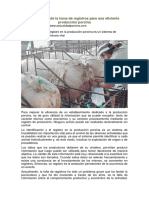 Importancia de La Toma de Registros para Una Eficiente Produccion Porcina