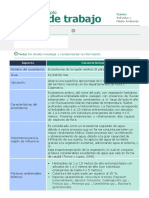 Semana 02 - PDF - Modelo de Trabajo