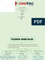 Tarea 4 Biologia