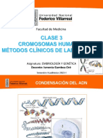CLASE 3 Firme CROMOSOMAS Metodos Clinicos de Laboratorio 2023-I