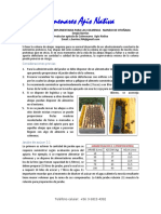 Alimentación Complementaria