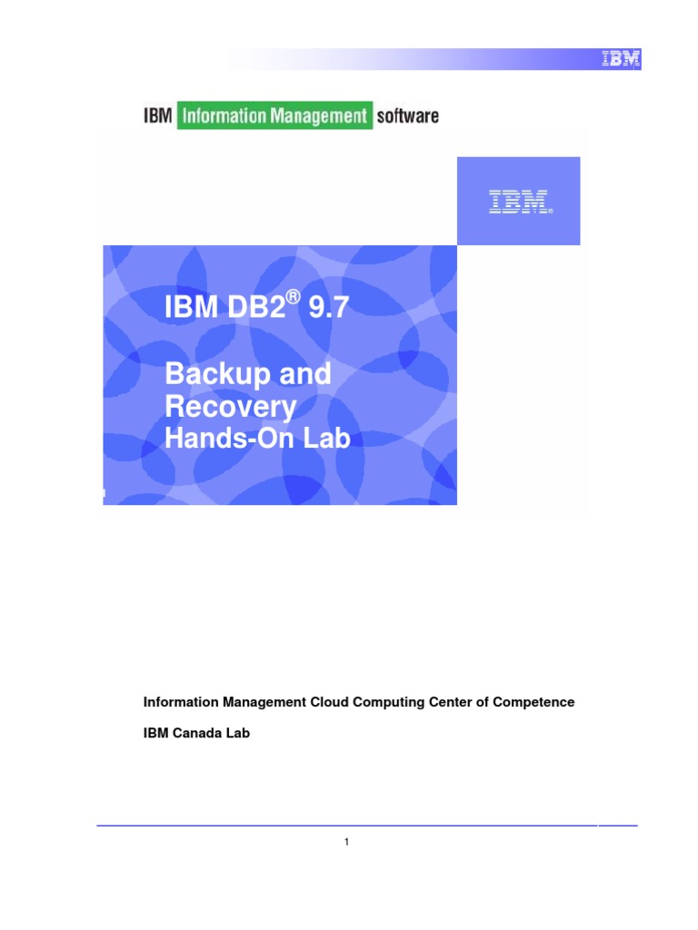 2 1 db2 backup and recovery lab pdf backup database transaction