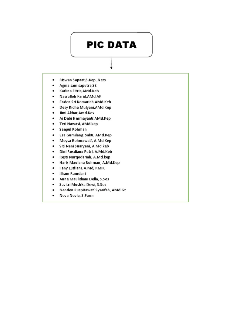 Pic Data | PDF