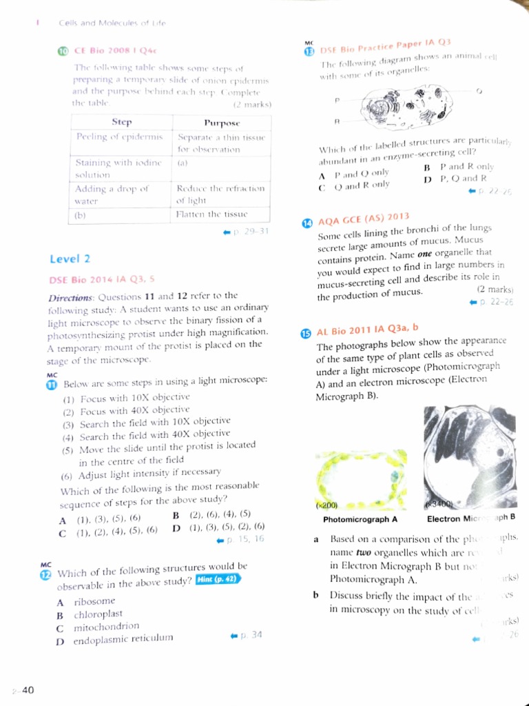 2-40-pdf