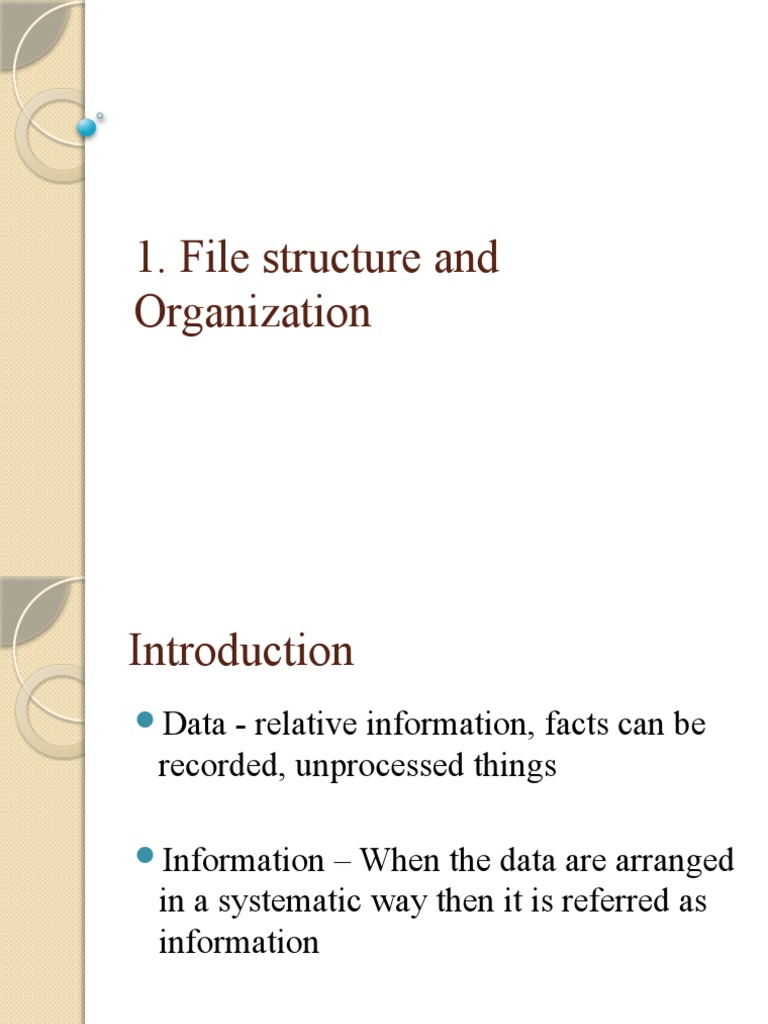 File Structure and Organization PDF
