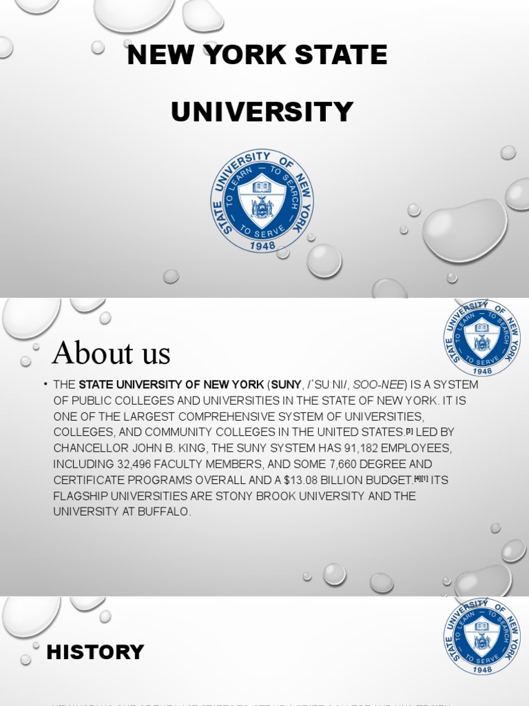 New York State | PDF | Universities And Colleges | The United States