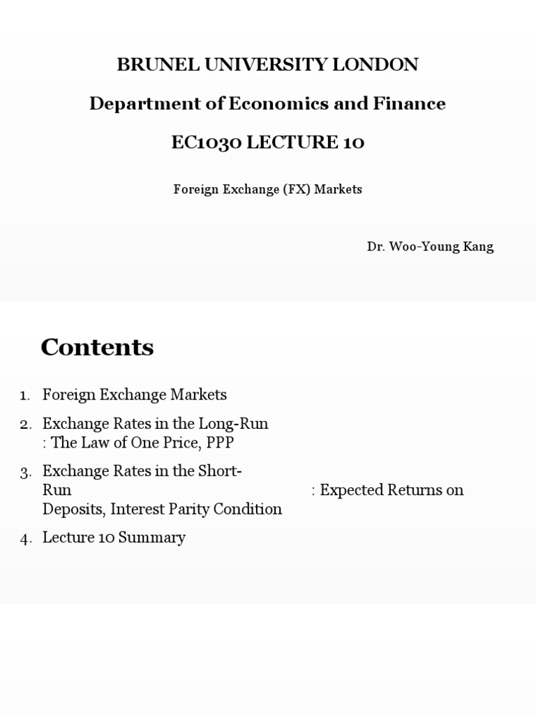 Financial Market-Lecture 10 | PDF | Exchange Rate | Foreign Exchange Market