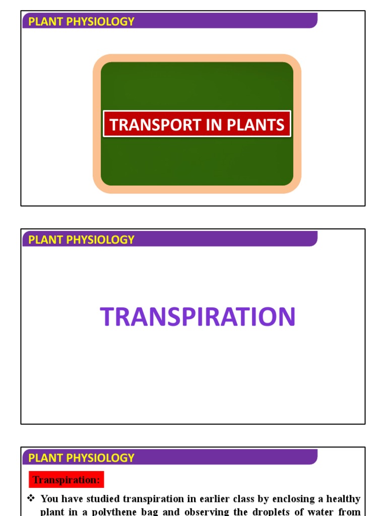 Biology Botany Transporations in Plant Transpiration PDF