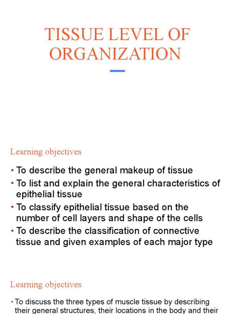 Tissue Level Organization Overview | PDF | Epithelium | Connective Tissue