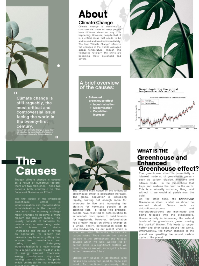 Climate Change Leaflet | PDF