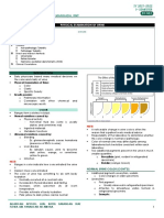 Trans Aubf Lec3