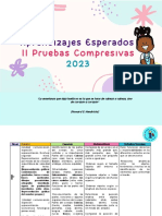 Indicadores II Pruebas Comprensivas