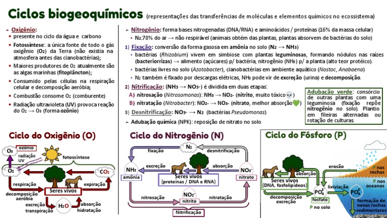 Ciclo Do Oxigênio, Nitrogênio e Fósforo | PDF