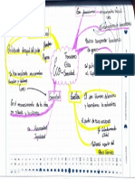 Mapa Mental Eco Feminismos