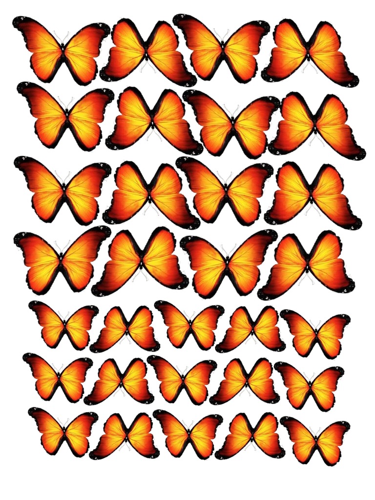 mariposas-naranjas-imprimir-pdf