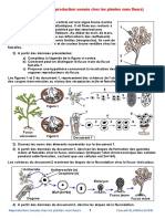 La Reproduction Sexuee Chez Les Plantes Sans Fleurs Serie D Exercices 1