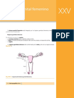 Latarjet Ruiz Liard. Anatomía Humana 5 Edicion T2. Sistema Reproductor Femenino