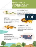 Infografía Animales Ilustración Verde