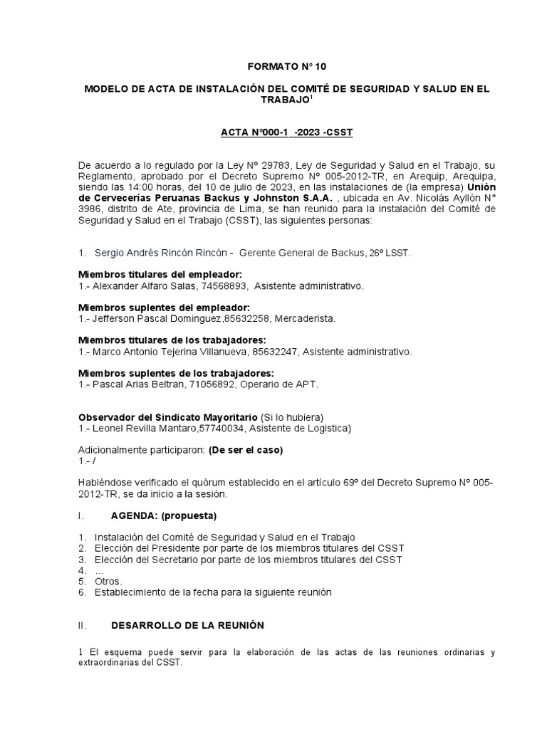 Acta de Instalación del CSST 2023 | PDF