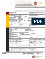 Cedula de Evaluacion de Simulacro 2020