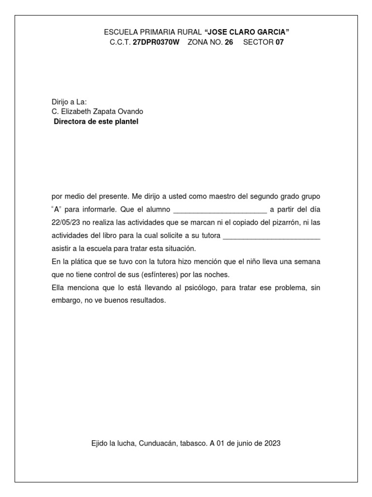Carta Dirijo A La Directora | PDF