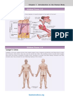 Netters-Clinic-Anatomy 1