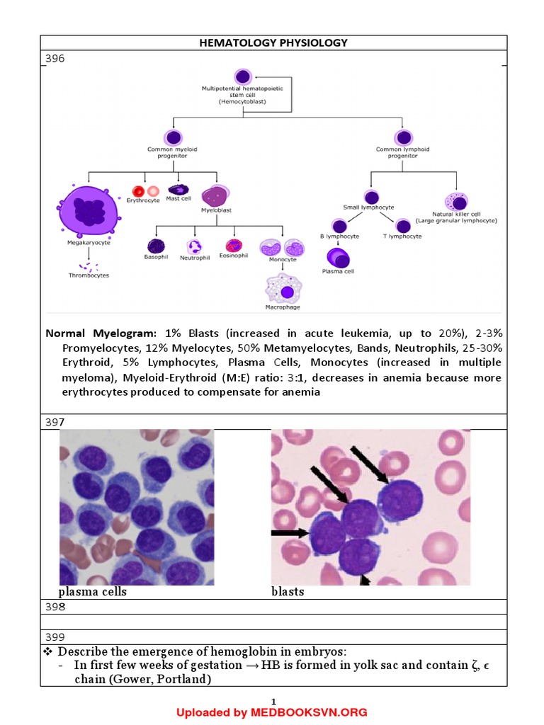 UW Notes - 10 - Hematology & Oncology Arranged | PDF | Anemia | Hematology