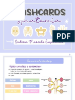 Flaschards Anatomia Final