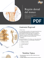 Anatomia Expo 1 de Equipo 1 Oficial