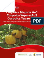 Corpoica Mapiria Ao1 Corpoica Yopare Ao2 Corpoica Yucao Ao3-Cartilla