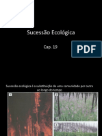 Sucessão Ecológica