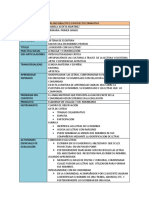 Plano Didactico o Proyecto Formativo. Daniela Acosta