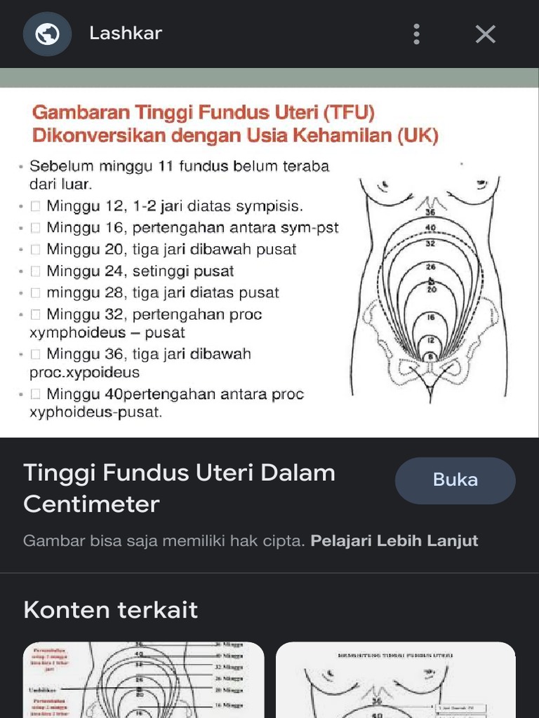 Tfu Tinggi Fundus Uteri Penelusuran Google PDF