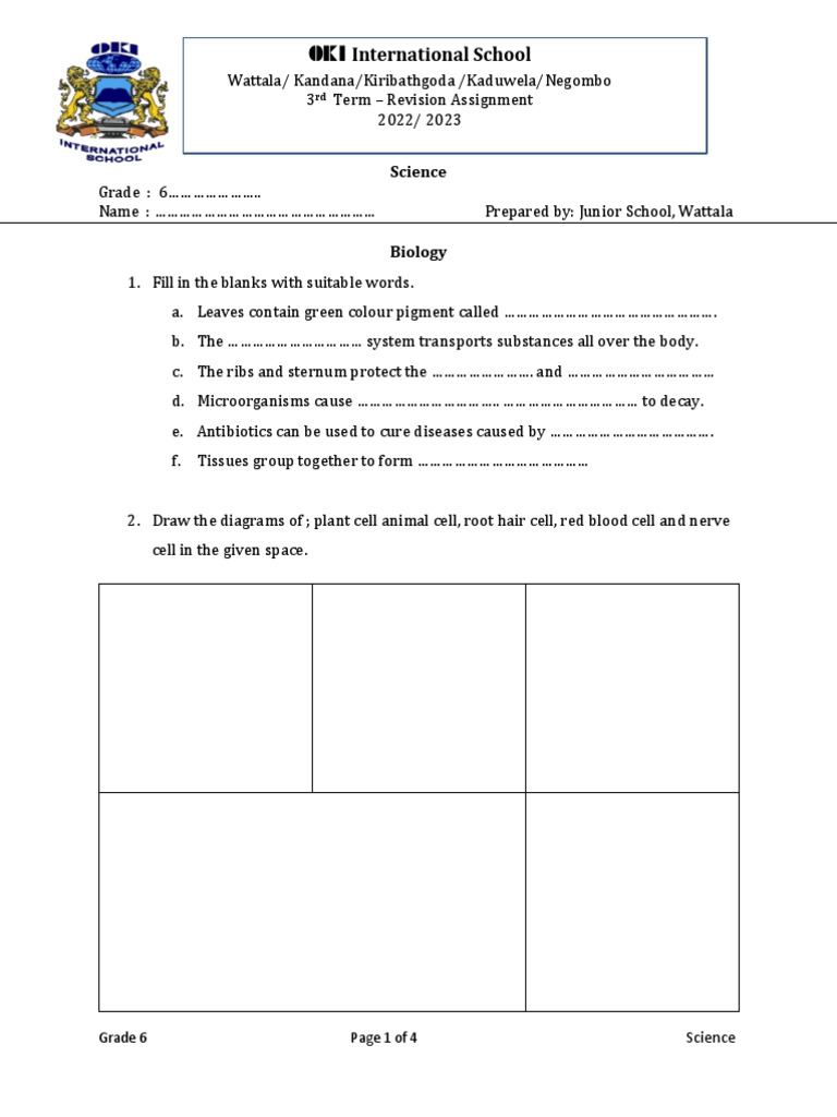 Grade 6 Science Revision Assignment | PDF | Nature