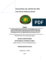 Características Sociales y Económicas de Los Adultos Mayores Que Desarrollan Actividades Informal