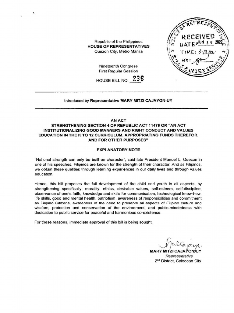 Ra 11476 | PDF