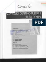 Complejo Dentino-Pulpar - Histologia Bucodental