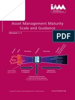 IAM Asset Management Maturity Scale and Guidance