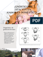 Diagnóstico de Gestacion22