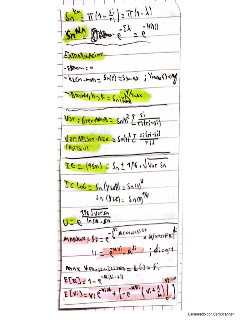 Hoja Formulas Nacho PDF